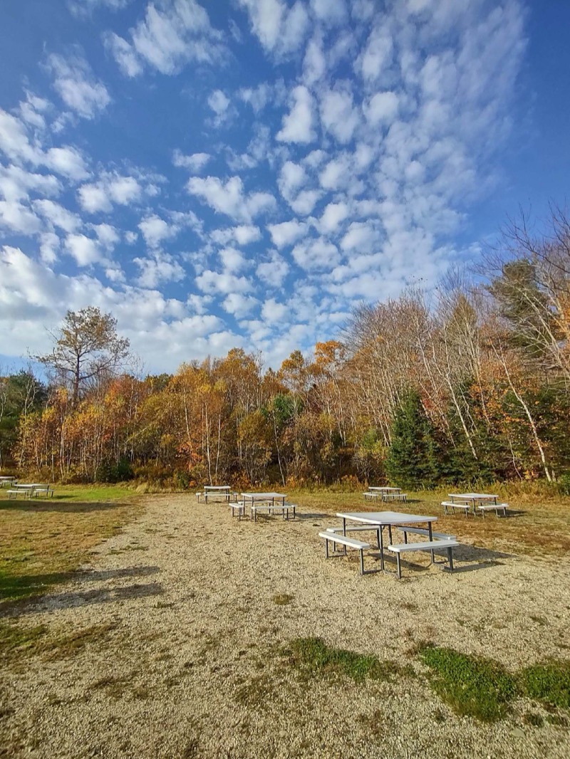 Picnic tables on a gravel lot beside autumn trees, under a blue sky